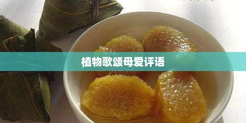 植物歌颂母爱评语