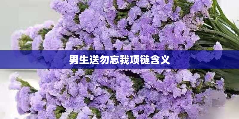 男生送勿忘我项链含义
