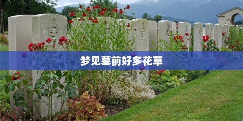 梦见墓前好多花草