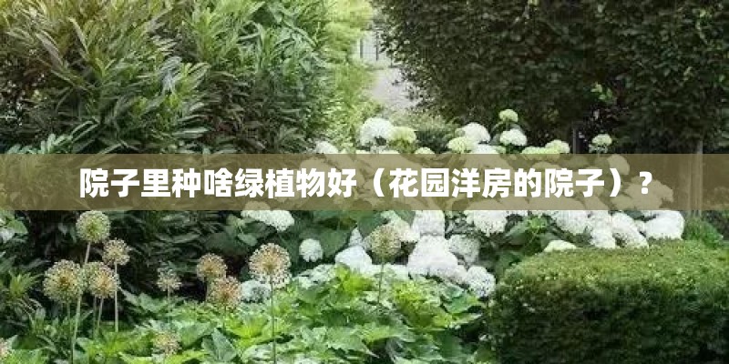 院子里种啥绿植物好（花园洋房的院子）？