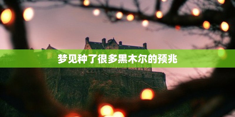 梦见种了很多黑木尔的预兆