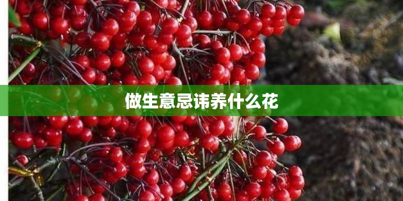 做生意忌讳养什么花