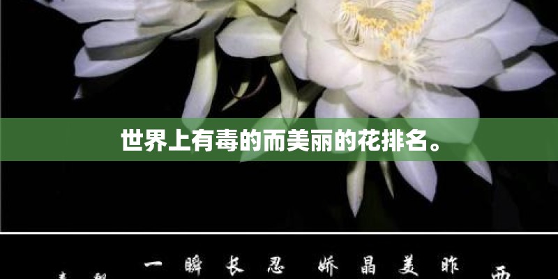 世界上有毒的而美丽的花排名。