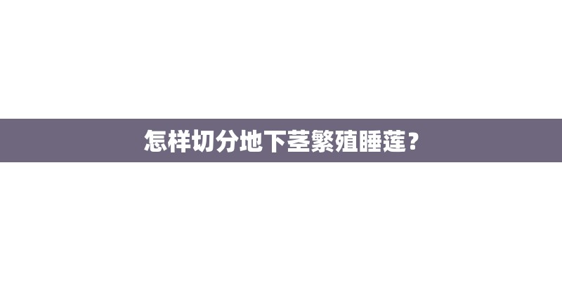 怎样切分地下茎繁殖睡莲？