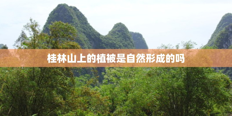 桂林山上的植被是自然形成的吗