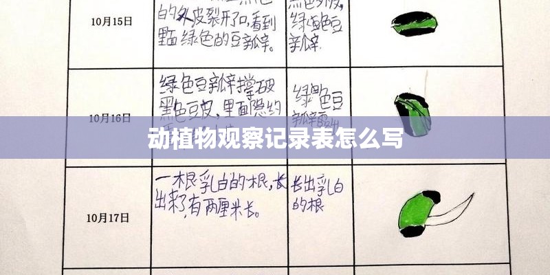 动植物观察记录表怎么写