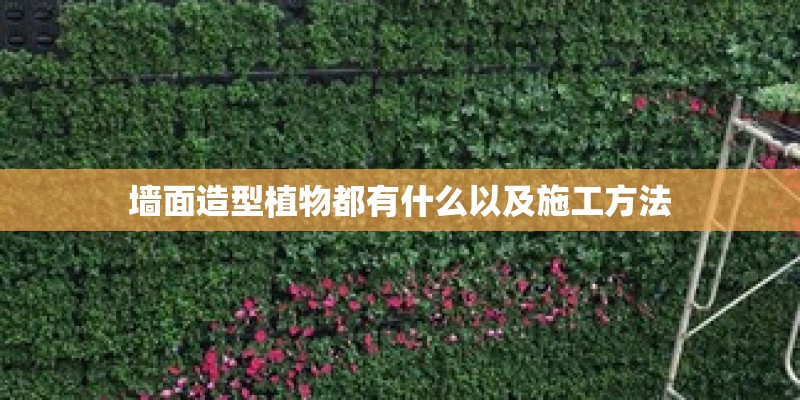 墙面造型植物都有什么以及施工方法