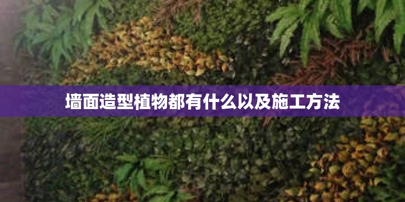 墙面造型植物都有什么以及施工方法
