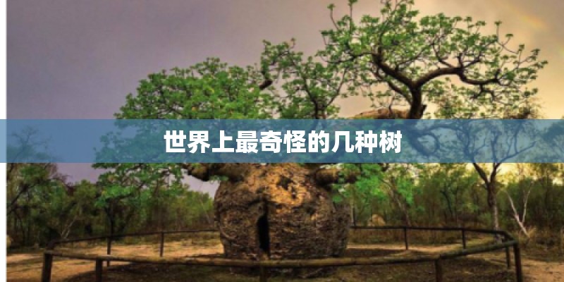 世界上最奇怪的几种树