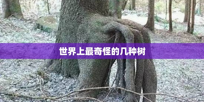 世界上最奇怪的几种树