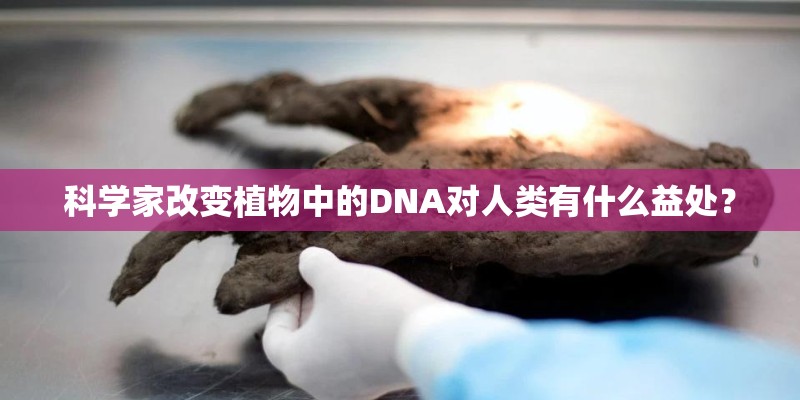 科学家改变植物中的DNA对人类有什么益处？