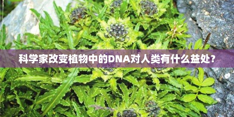 科学家改变植物中的DNA对人类有什么益处？