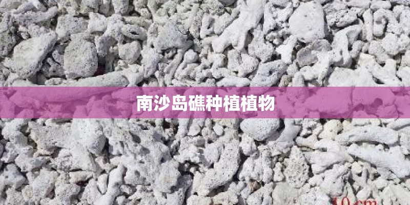 南沙岛礁种植植物