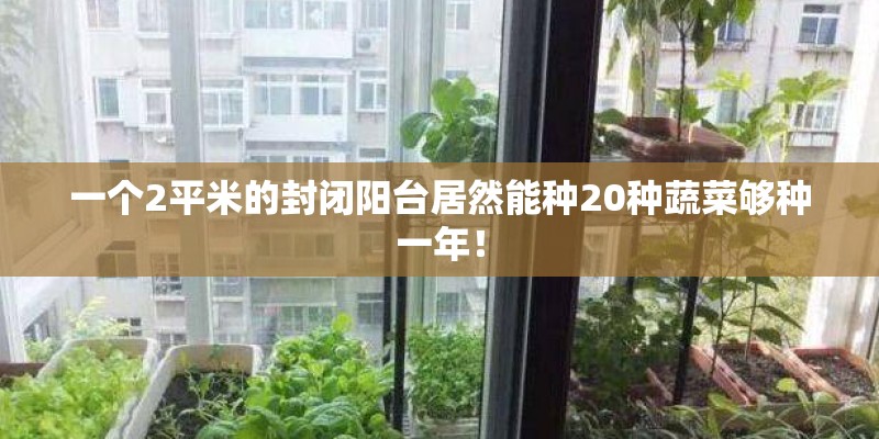 一个2平米的封闭阳台居然能种20种蔬菜够种一年！