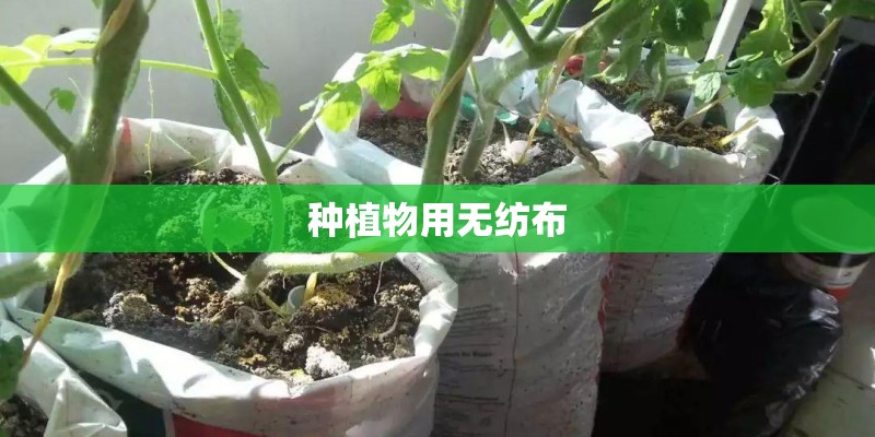 种植物用无纺布