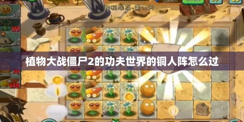 植物大战僵尸2的功夫世界的铜人阵怎么过