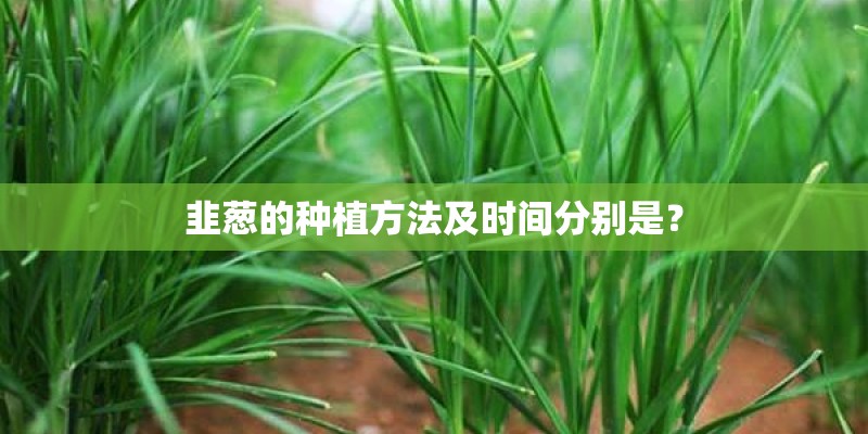 韭葱的种植方法及时间分别是？