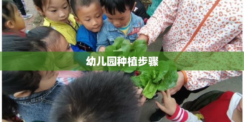 幼儿园种植步骤