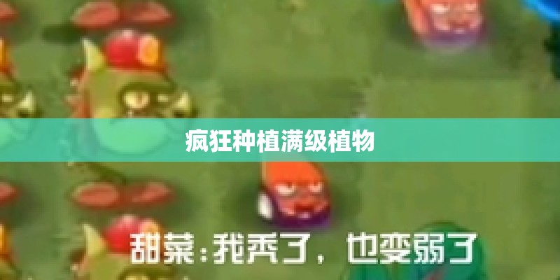 疯狂种植满级植物