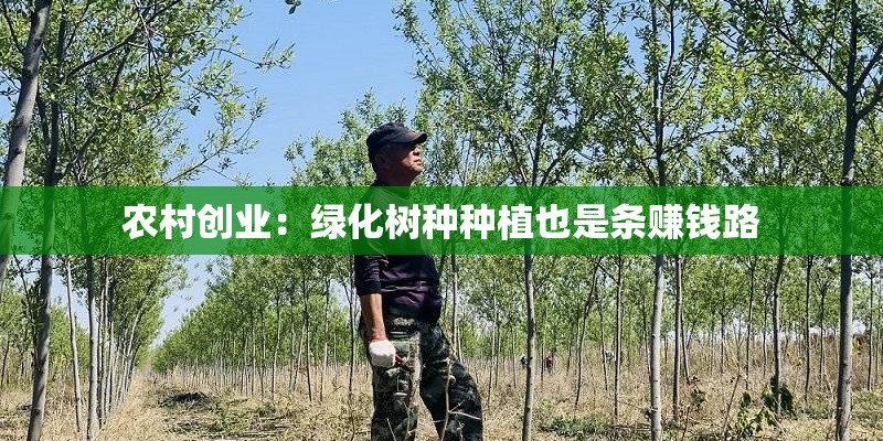 农村创业：绿化树种种植也是条赚钱路