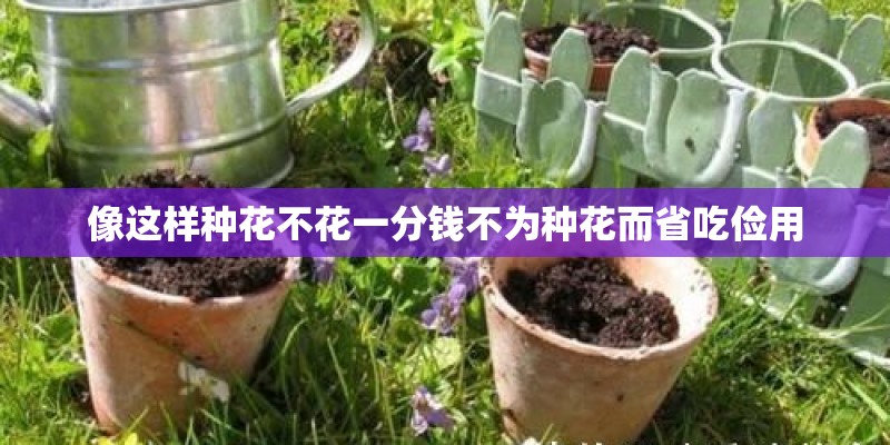 像这样种花不花一分钱不为种花而省吃俭用