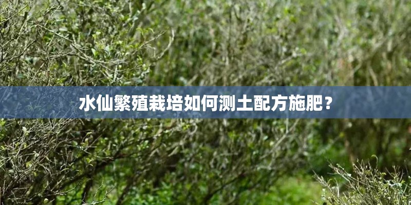 水仙繁殖栽培如何测土配方施肥？