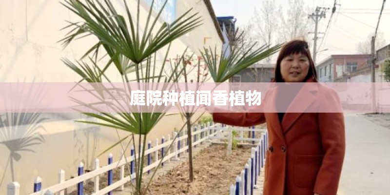 庭院种植闻香植物