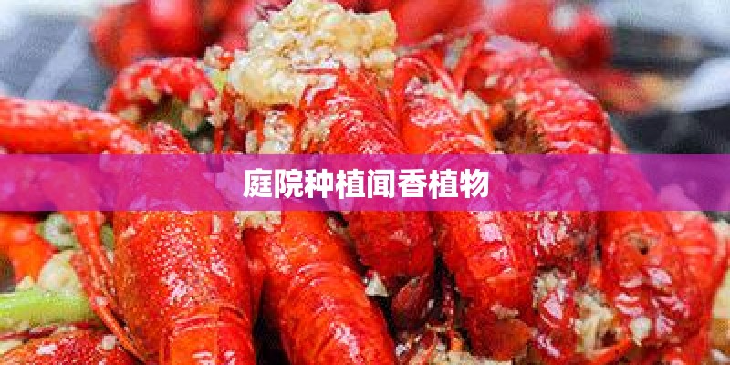 庭院种植闻香植物