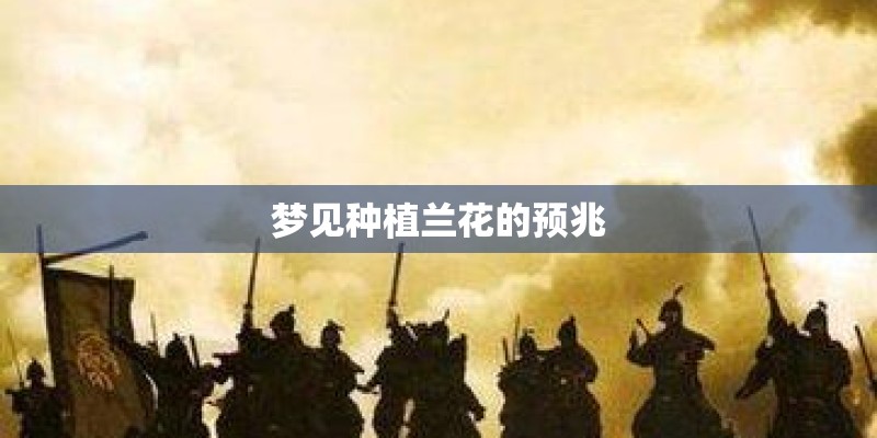 梦见种植兰花的预兆