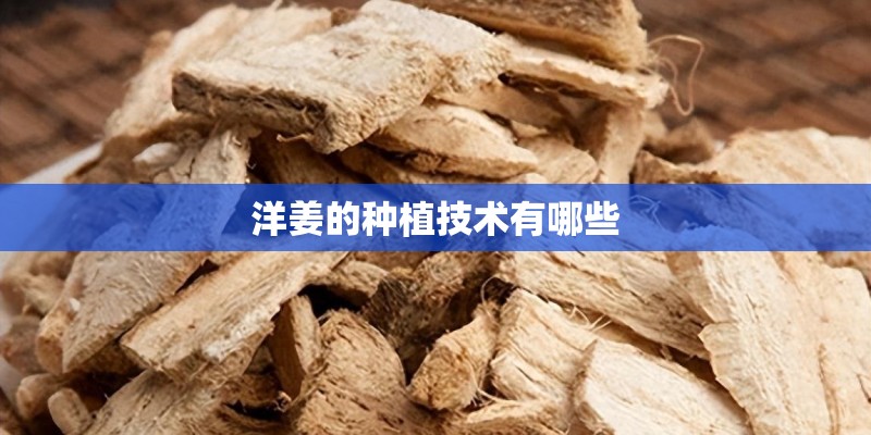 洋姜的种植技术有哪些