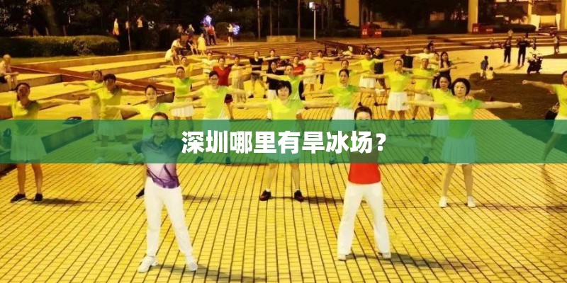 深圳哪里有旱冰场？
