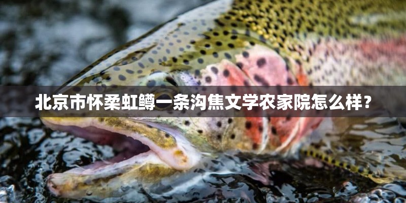 北京市怀柔虹鳟一条沟焦文学农家院怎么样？