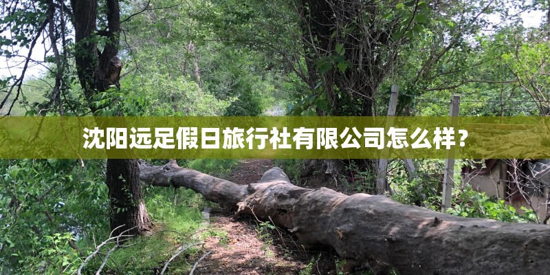 沈阳远足假日旅行社有限公司怎么样？