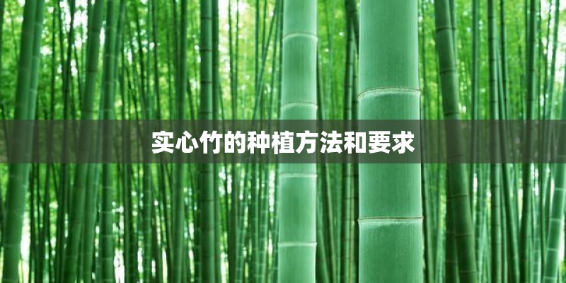 实心竹的种植方法和要求