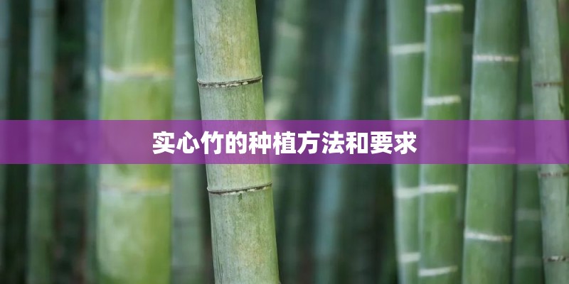 实心竹的种植方法和要求