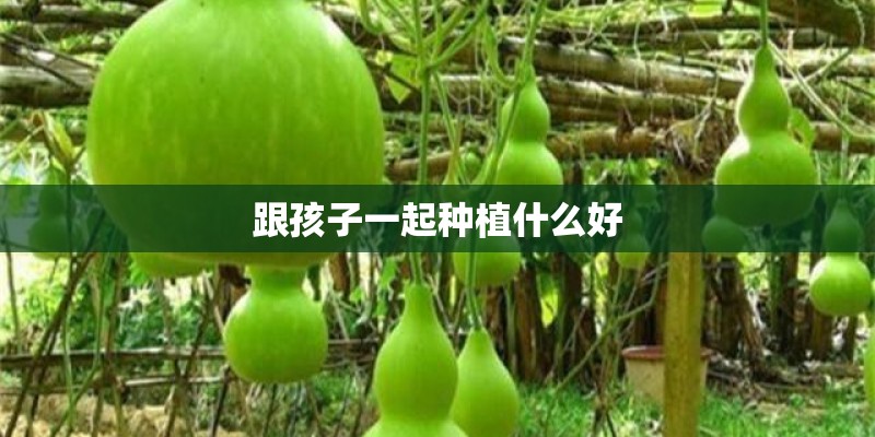 跟孩子一起种植什么好