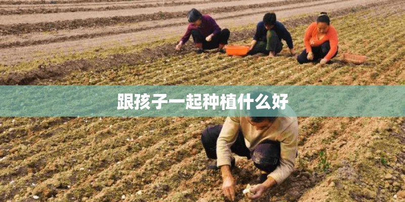 跟孩子一起种植什么好