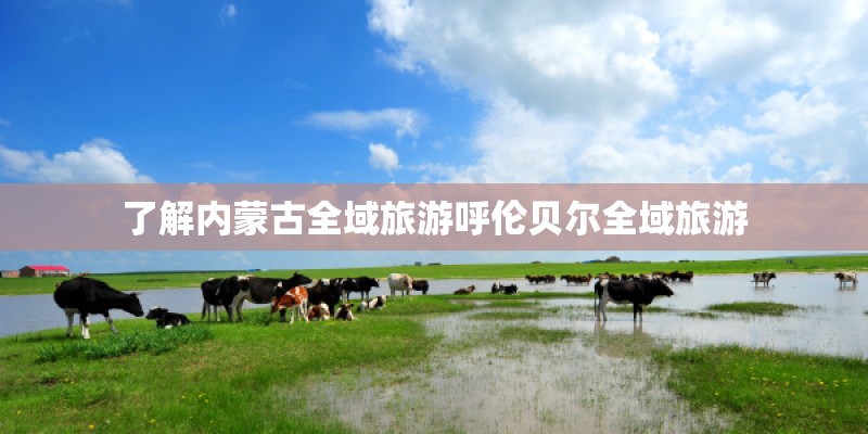 了解内蒙古全域旅游呼伦贝尔全域旅游