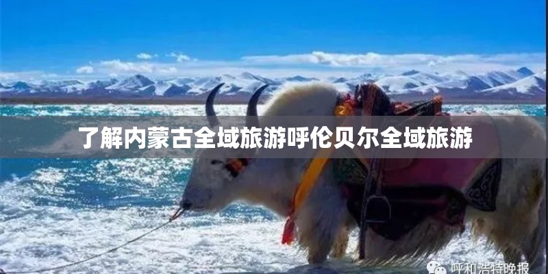 了解内蒙古全域旅游呼伦贝尔全域旅游