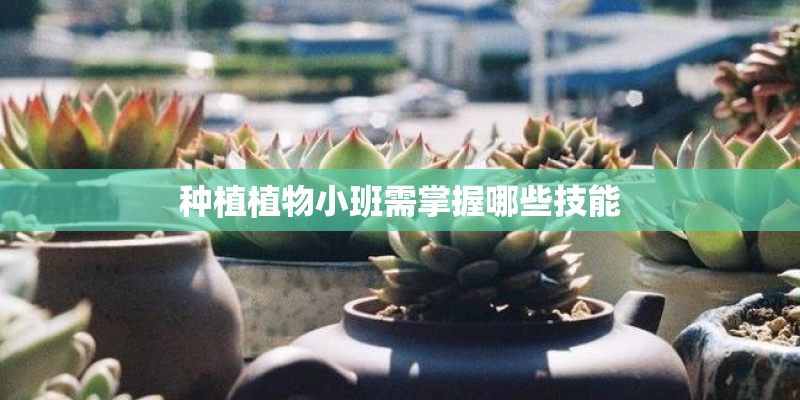 种植植物小班需掌握哪些技能