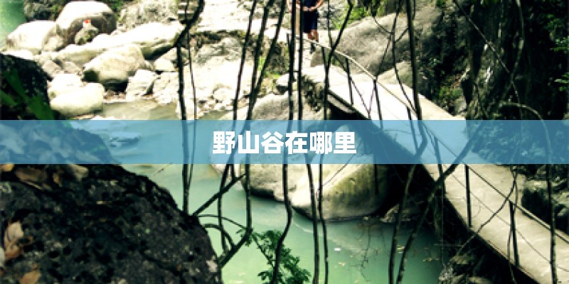 野山谷在哪里